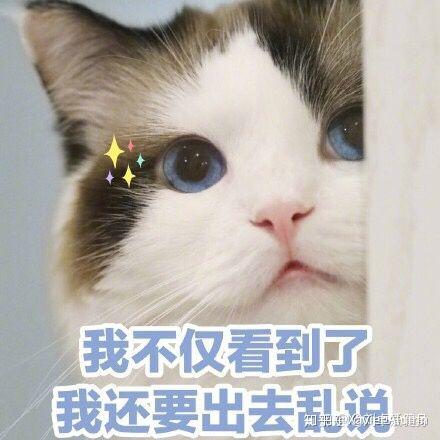 主播说回收QQ微信(主播说回收微信怎么回复)